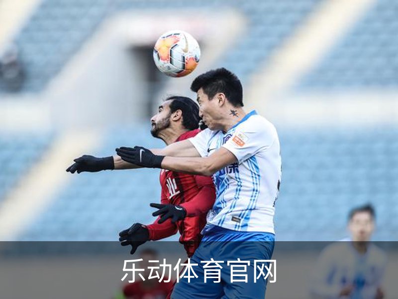 乐动体育官网简介